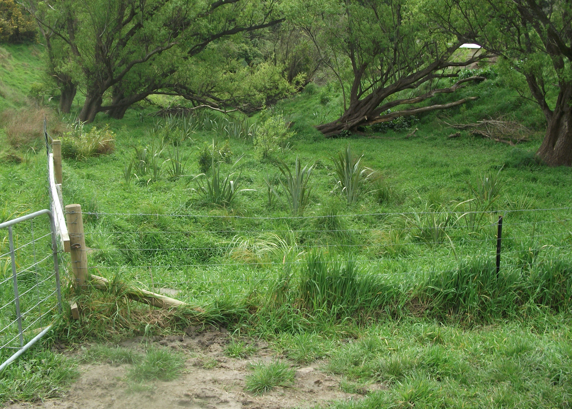 Screen Shot 2017-10-08 at 6.33.36 am