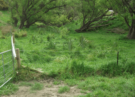 Screen Shot 2017-10-08 at 6.33.36 am