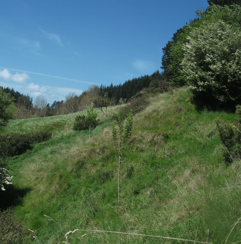 Screen Shot 2017-10-15 at 6.38.54 am