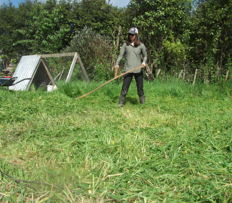 Screen Shot 2017-10-15 at 6.39.47 am