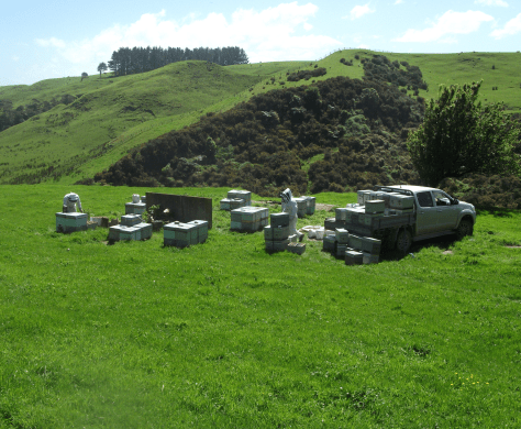 Screen Shot 2017-10-15 at 6.40.20 am