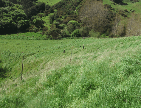 Screen Shot 2017-10-15 at 6.40.44 am