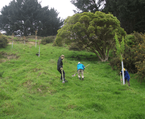 Screen Shot 2017-10-20 at 7.16.09 am