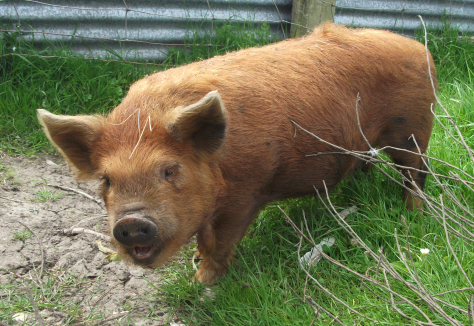 Screen Shot 2017-10-22 at 3.21.57 pm