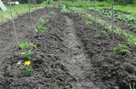 Screen Shot 2017-10-22 at 3.23.39 pm