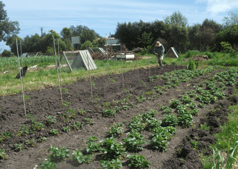 Screen Shot 2017-10-22 at 3.24.15 pm