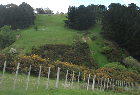 Screen Shot 2017-10-26 at 5.46.00 am