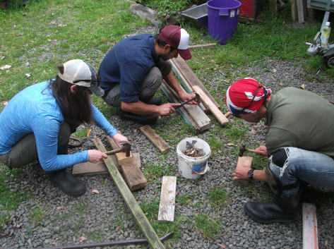 Screen Shot 2017-11-05 at 5.54.52 pm