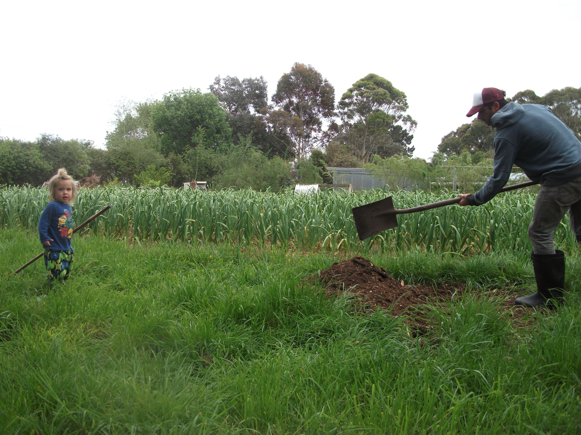 Screen Shot 2017-11-06 at 5.05.52 am