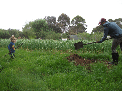 Screen Shot 2017-11-06 at 5.05.52 am