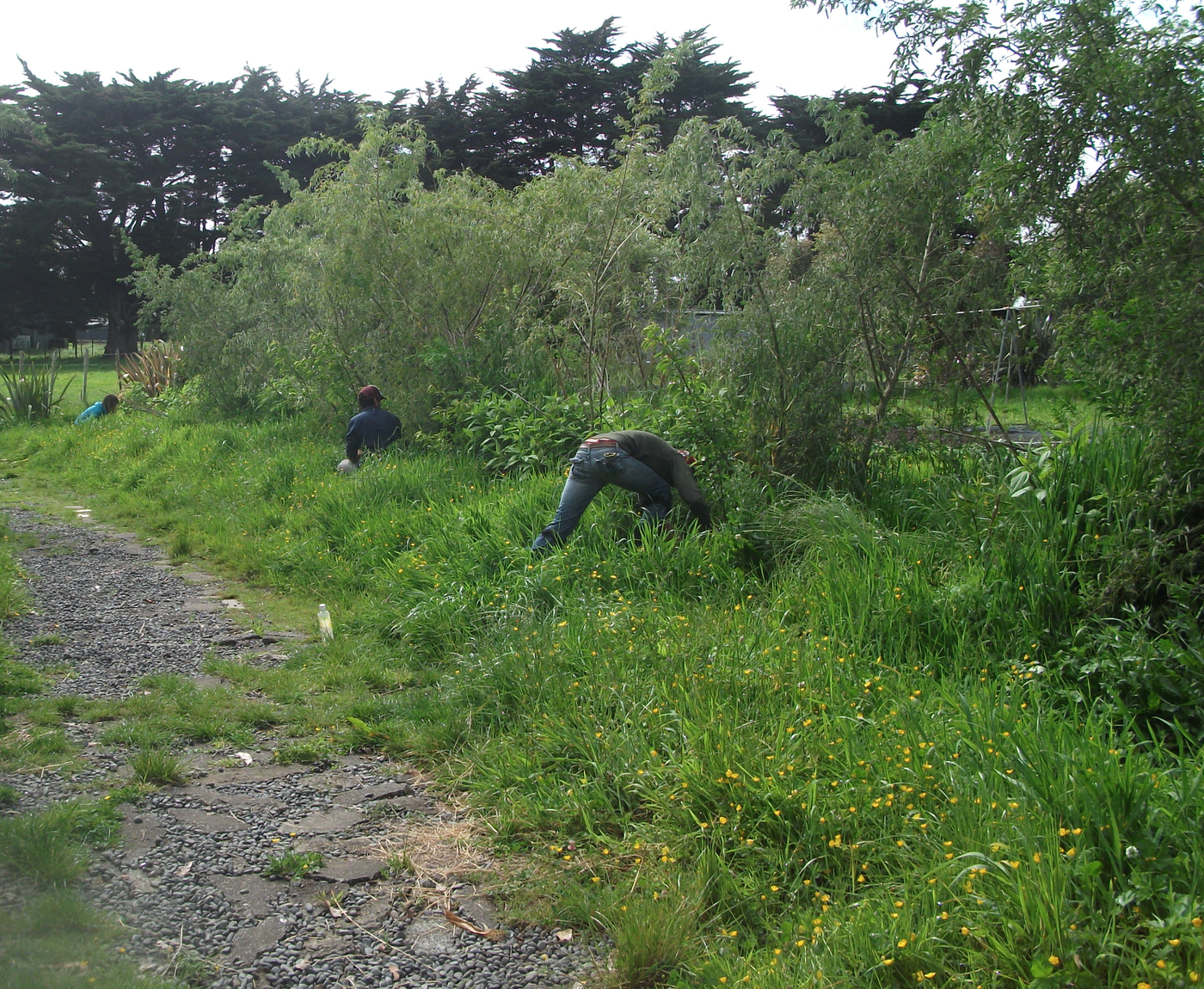 Screen Shot 2017-11-06 at 5.08.36 am