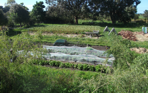 Screen Shot 2017-11-12 at 6.50.43 am