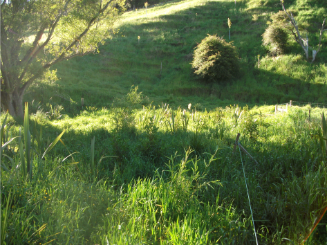 Screen Shot 2017-11-21 at 6.38.51 am