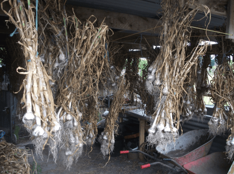 Screen Shot 2017-12-23 at 8.18.52 pm