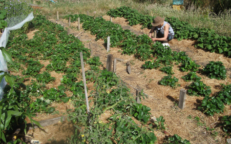 Screen Shot 2017-12-23 at 8.20.51 pm