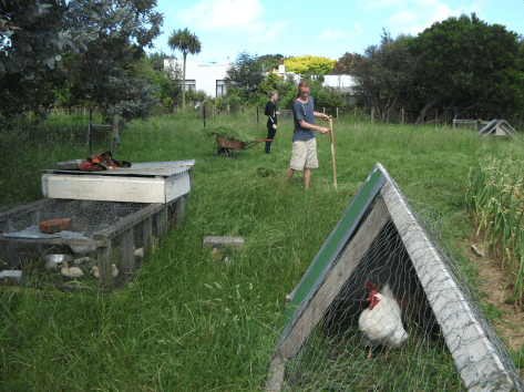 Screen Shot 2018-01-18 at 6.51.18 am