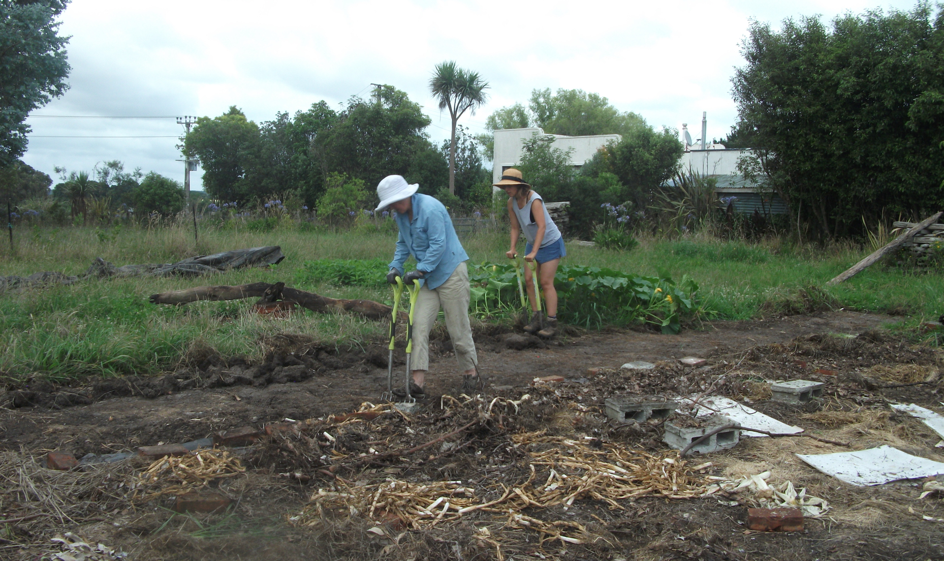 Screen Shot 2018-01-31 at 6.32.18 am