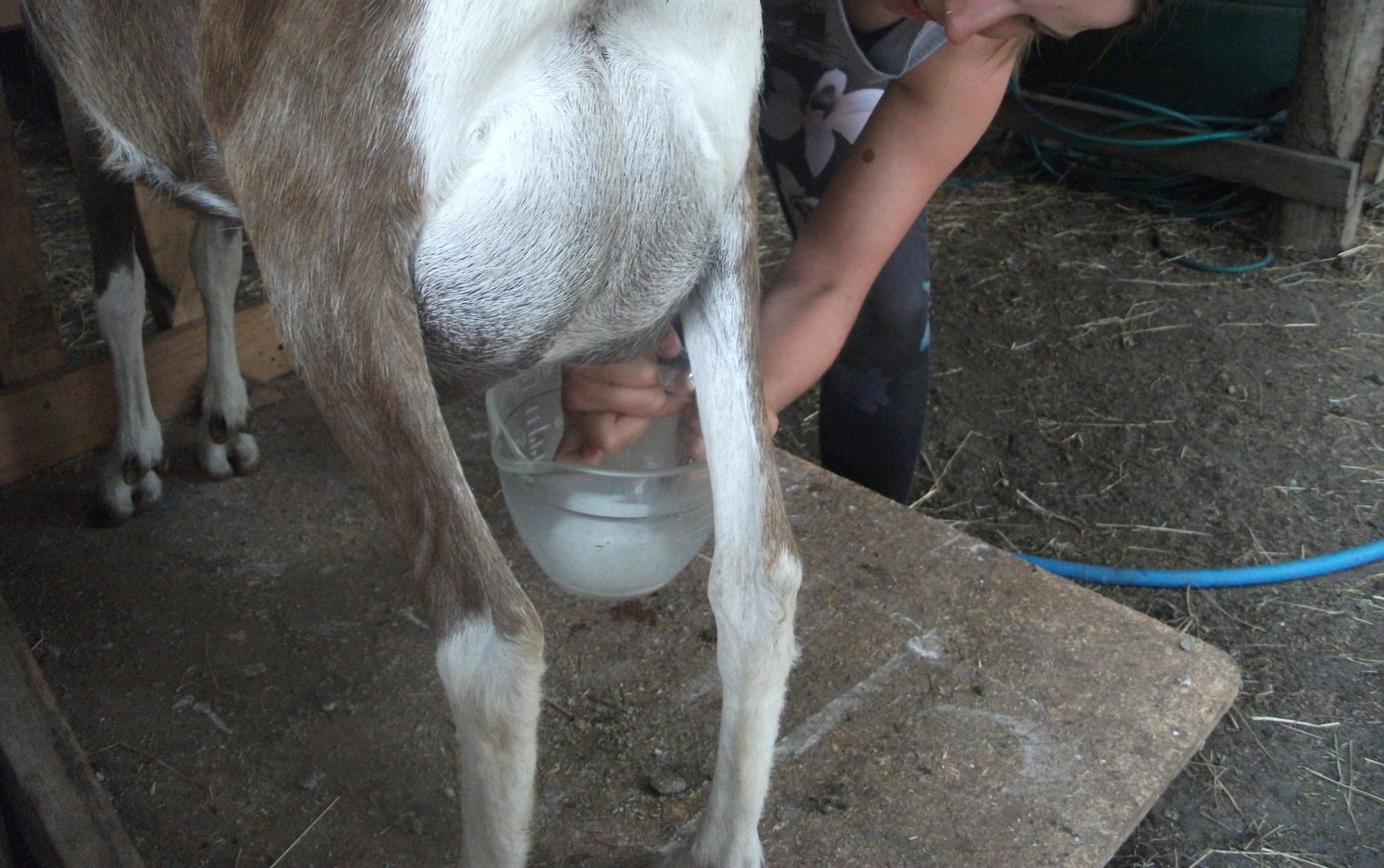 Screen Shot 2018-02-04 at 6.04.56 am