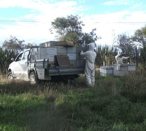 Screen Shot 2018-02-18 at 6.31.21 am