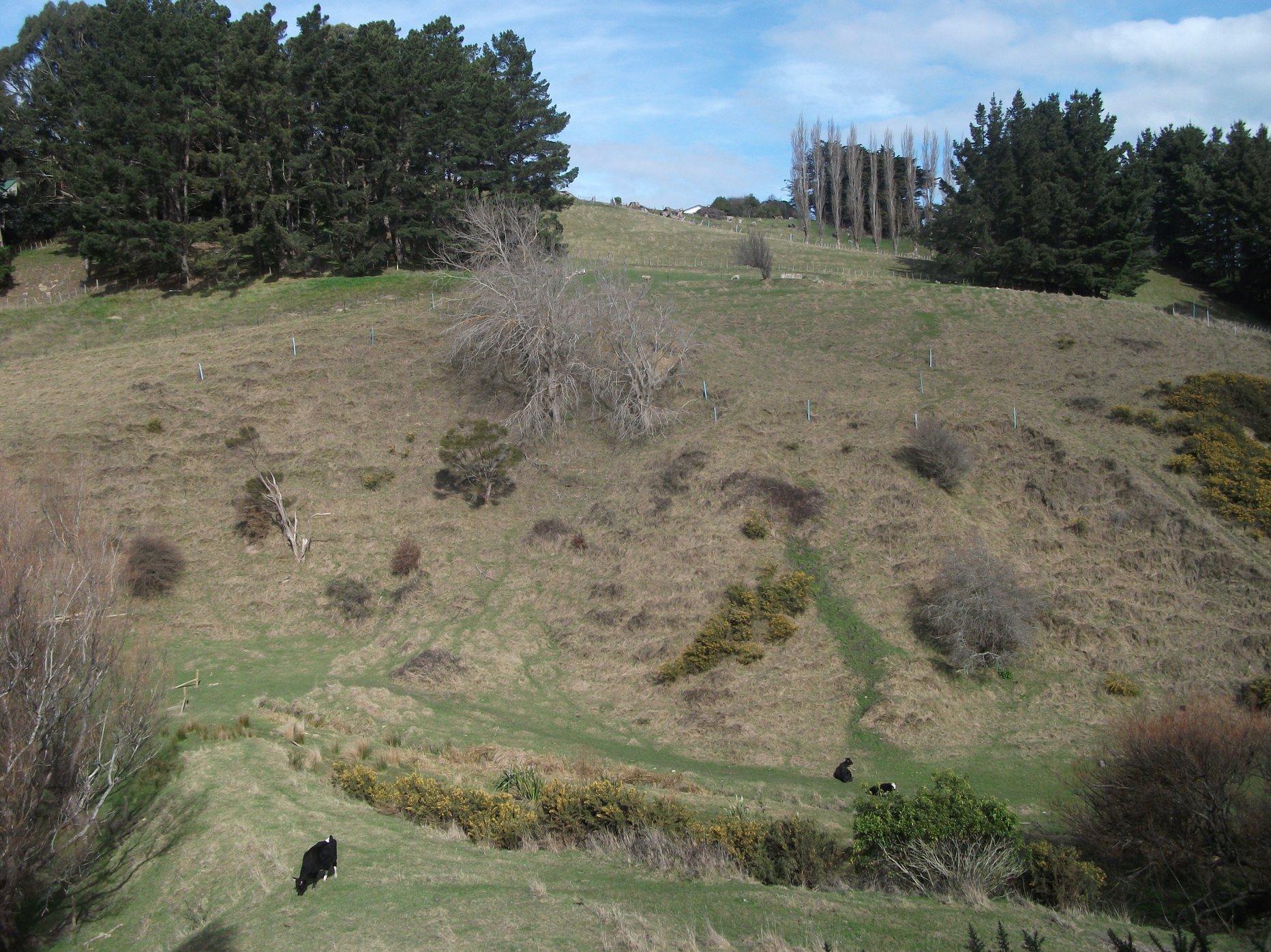 Screen Shot 2018-02-22 at 12.53.23 pm