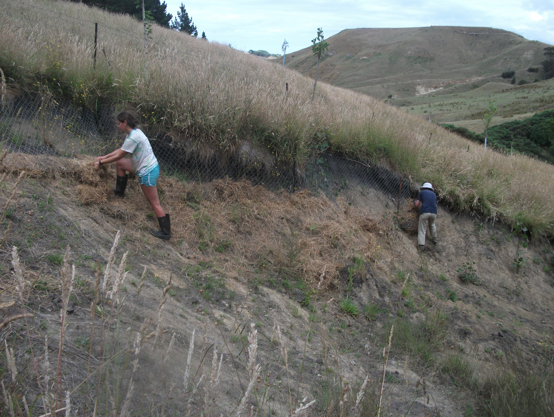 Screen Shot 2018-02-22 at 12.57.55 pm