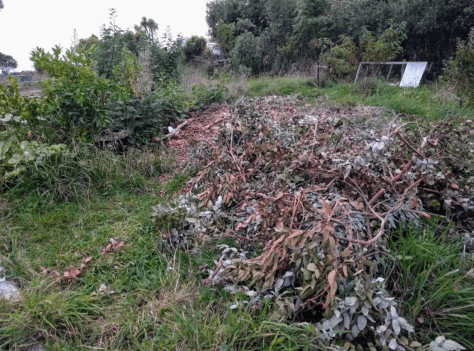 Screen Shot 2018-03-05 at 5.21.19 am