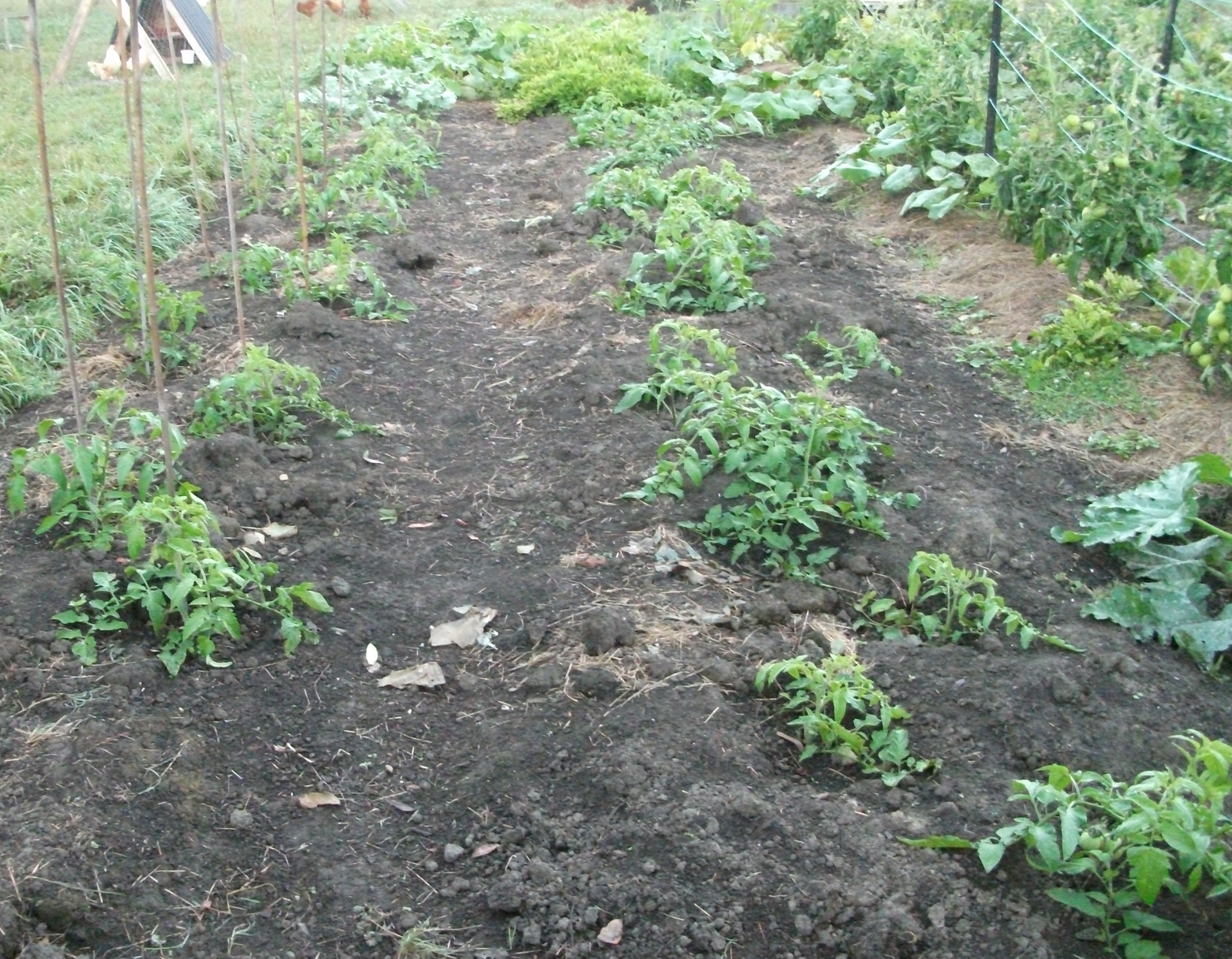 Screen Shot 2018-03-12 at 4.42.32 pm