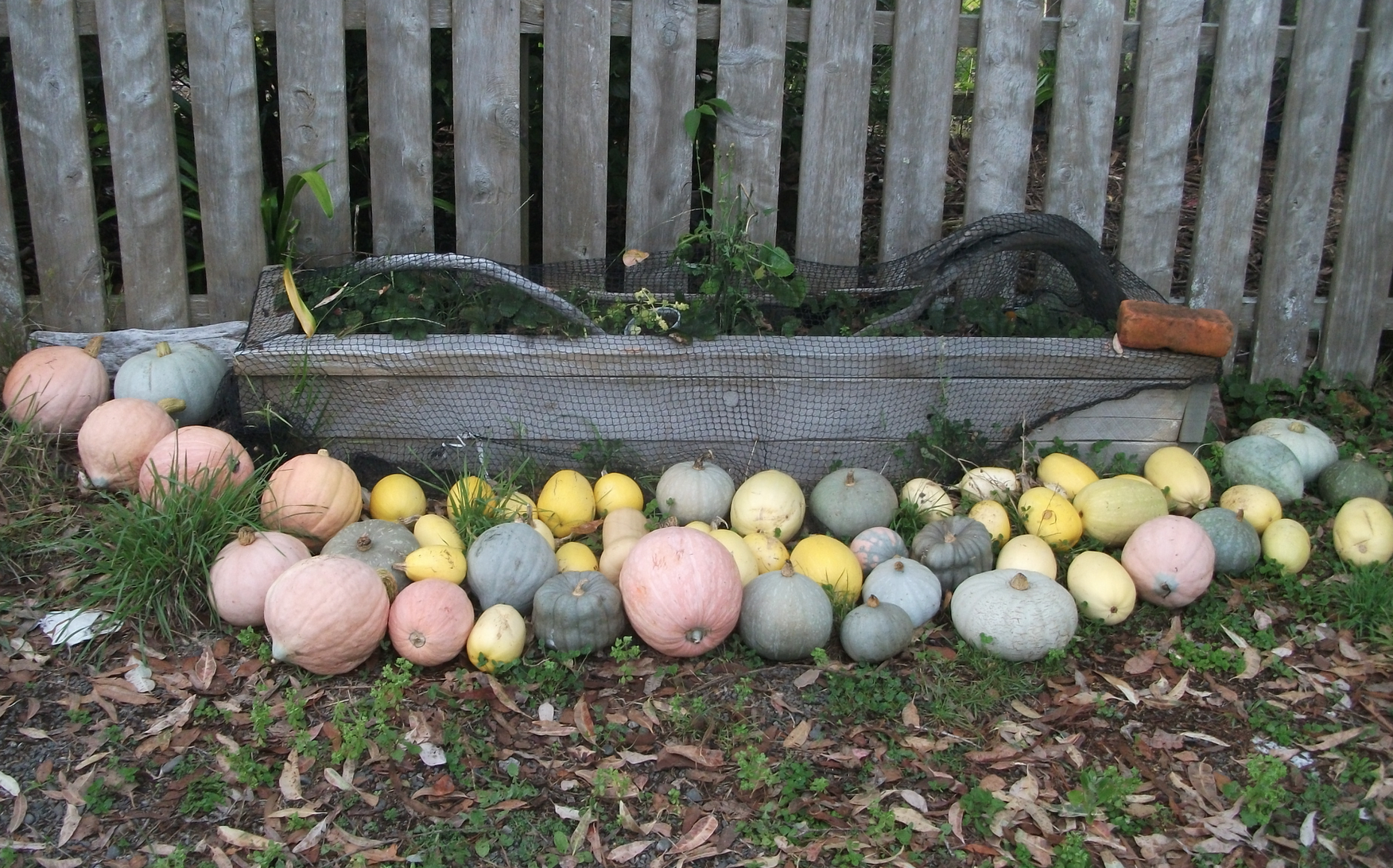 Screen Shot 2018-03-12 at 4.43.51 pm