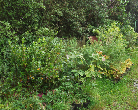 Screen Shot 2018-03-30 at 6.40.49 am