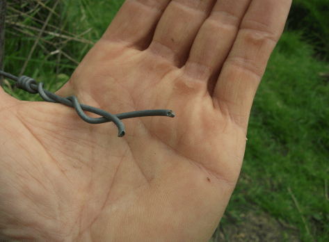 Screen Shot 2018-04-27 at 9.37.45 am