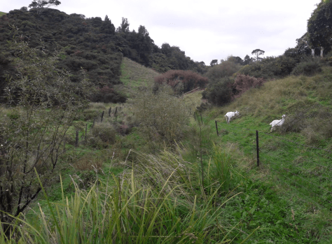 Screen Shot 2018-04-27 at 9.49.17 am