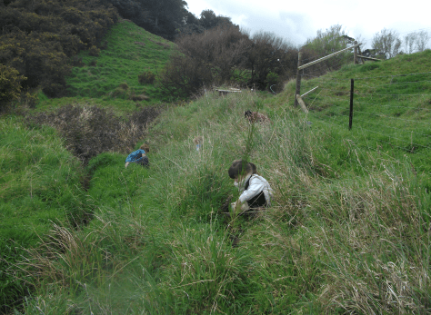 Screen Shot 2018-04-27 at 9.58.21 am