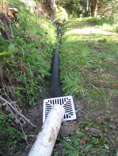 Screen Shot 2018-04-30 at 3.56.30 pm