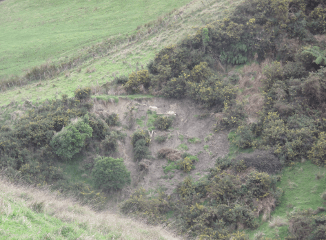 Screen Shot 2018-04-30 at 3.59.40 pm