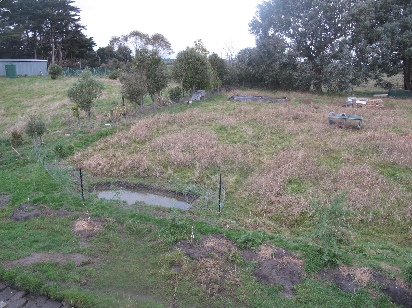 Screen Shot 2018-04-30 at 4.02.07 pm