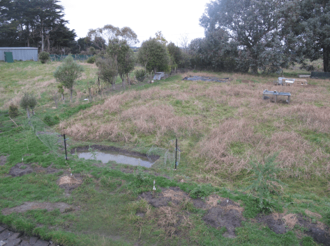 Screen Shot 2018-04-30 at 4.02.07 pm