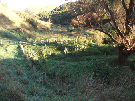 Screen Shot 2018-05-03 at 1.15.47 pm