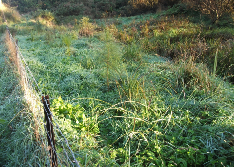 Screen Shot 2018-05-03 at 1.16.59 pm