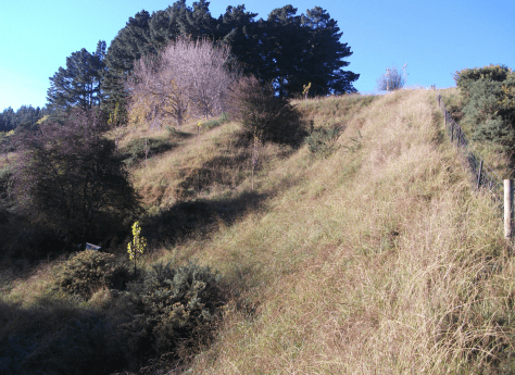 Screen Shot 2018-05-03 at 1.17.34 pm