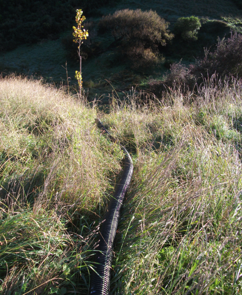 Screen Shot 2018-05-03 at 1.18.33 pm