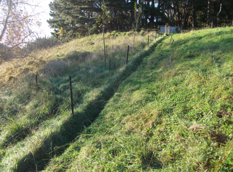 Screen Shot 2018-05-03 at 1.18.48 pm