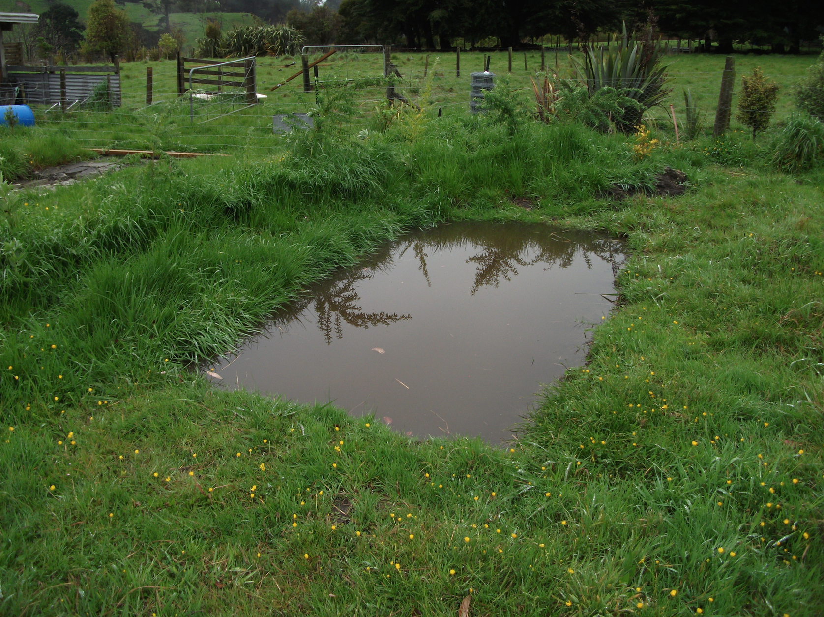 Screen Shot 2018-05-03 at 1.25.40 pm