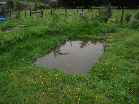 Screen Shot 2018-05-03 at 1.25.40 pm