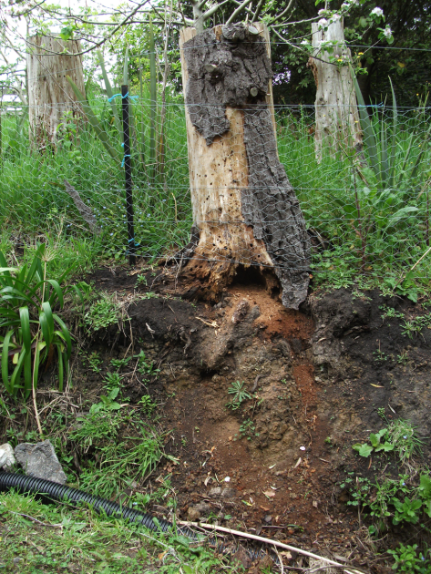 Screen Shot 2018-05-03 at 1.28.06 pm