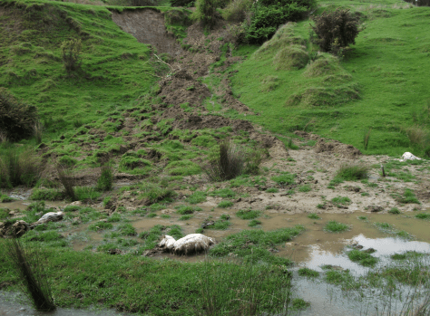 Screen Shot 2018-05-03 at 1.28.33 pm