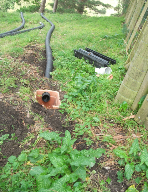 Screen Shot 2018-05-03 at 1.29.14 pm