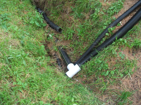 Screen Shot 2018-05-03 at 1.29.45 pm