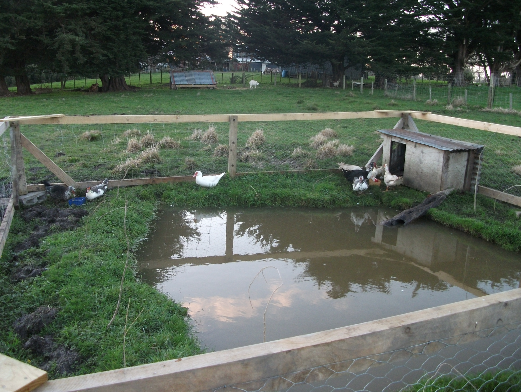 Screen Shot 2018-05-03 at 1.33.18 pm