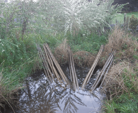 Screen Shot 2018-05-03 at 1.33.37 pm