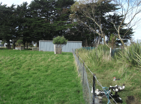 Screen Shot 2018-05-03 at 1.35.05 pm